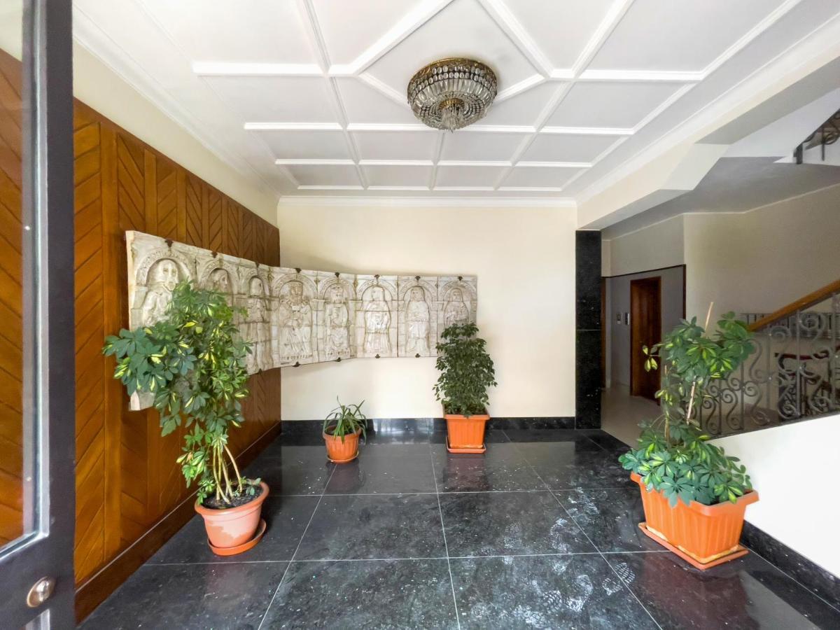 Dalia's Place